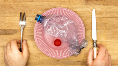 © Rochu_2008 | #542465119 | stock.adobe.com