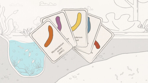 ntm-bacteria-mac-species