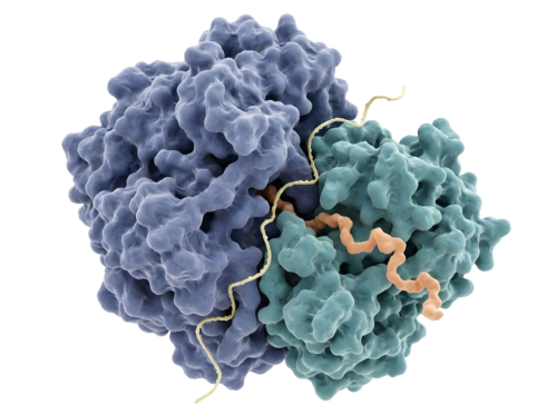 Biomolekül/Protein für Ionaustausch